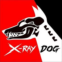 X-Ray Dog.JPG